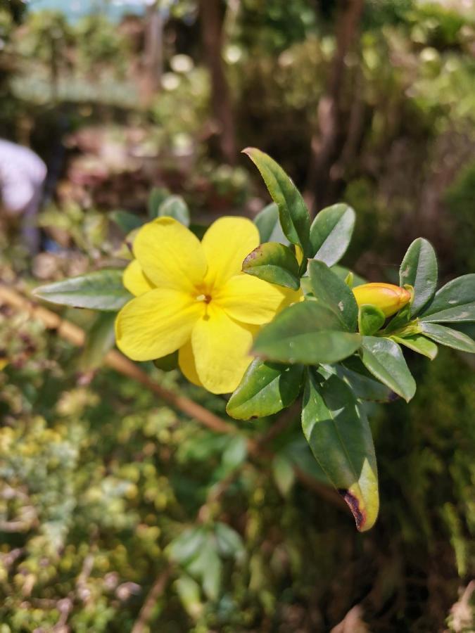 The Galways Edge Homestay นูวาราเอลิยา ภายนอก รูปภาพ